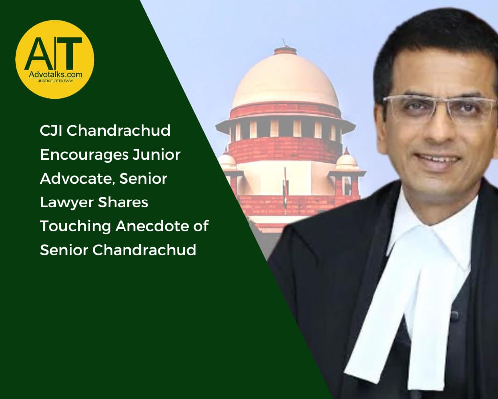 CJI Chandrachud Encourages Junior Advocate, Senior Lawyer Shares Touching Anecdote Of Senior Chandra